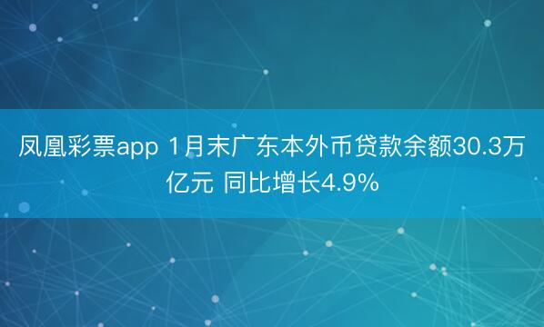 凤凰彩票app 1月末广东本外币贷款余额30.3万亿元 同比增长4.9%