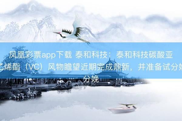 凤凰彩票app下载 泰和科技:泰和科技碳酸亚乙烯酯(VC)风物瞻望近期完成鼎新,并准备试分娩