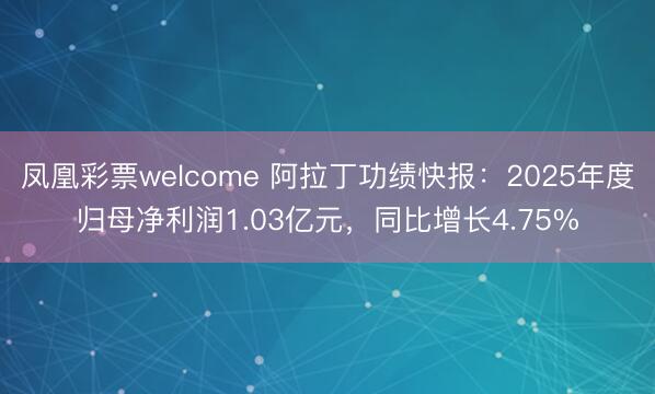 凤凰彩票welcome 阿拉丁功绩快报：2025年度归母净利润1.03亿元，同比增长4.75%