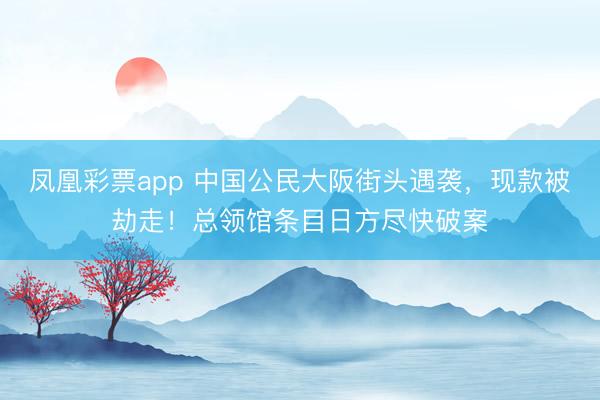 凤凰彩票app 中国公民大阪街头遇袭，现款被劫走！总领馆条目日方尽快破案