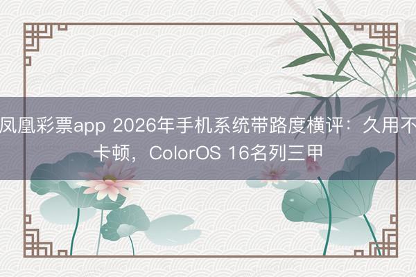 凤凰彩票app 2026年手机系统带路度横评：久用不卡顿，ColorOS 16名列三甲