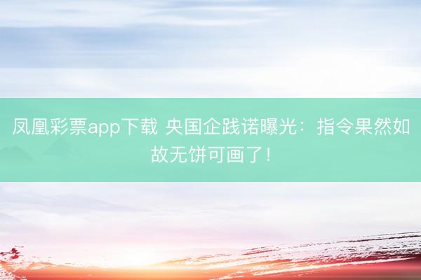 凤凰彩票app下载 央国企践诺曝光：指令果然如故无饼可画了！